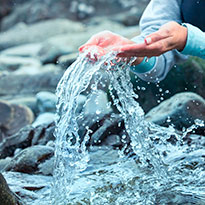 Wasser